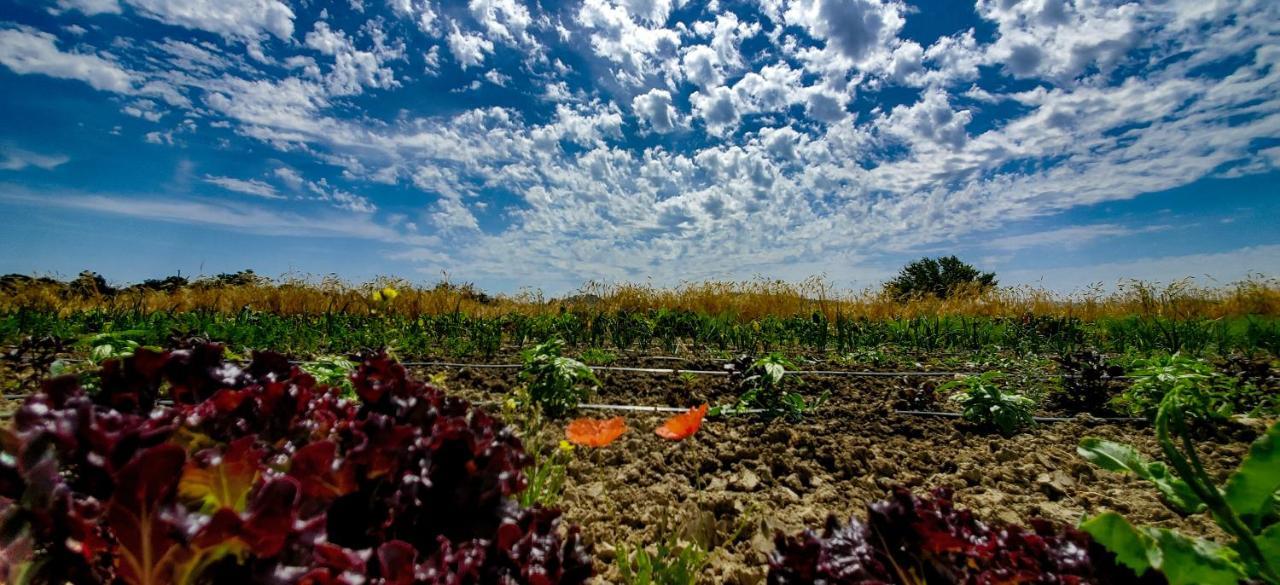 Agriturismo La Lenticchia Fratta Terme Bagian luar foto