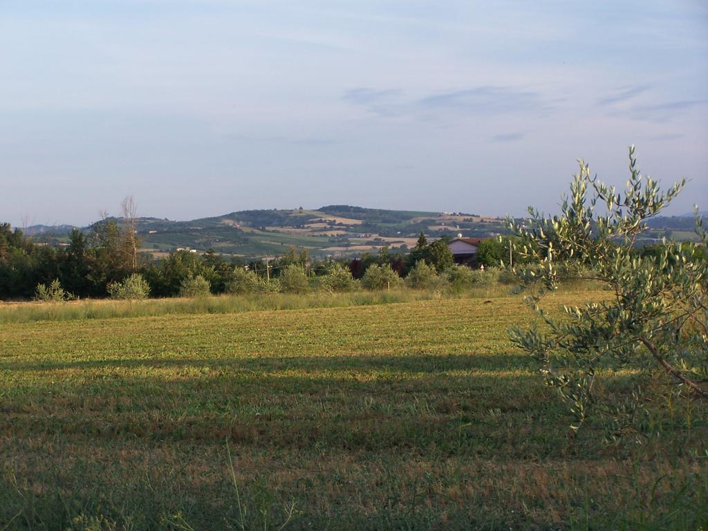 Agriturismo La Lenticchia Fratta Terme Bagian luar foto
