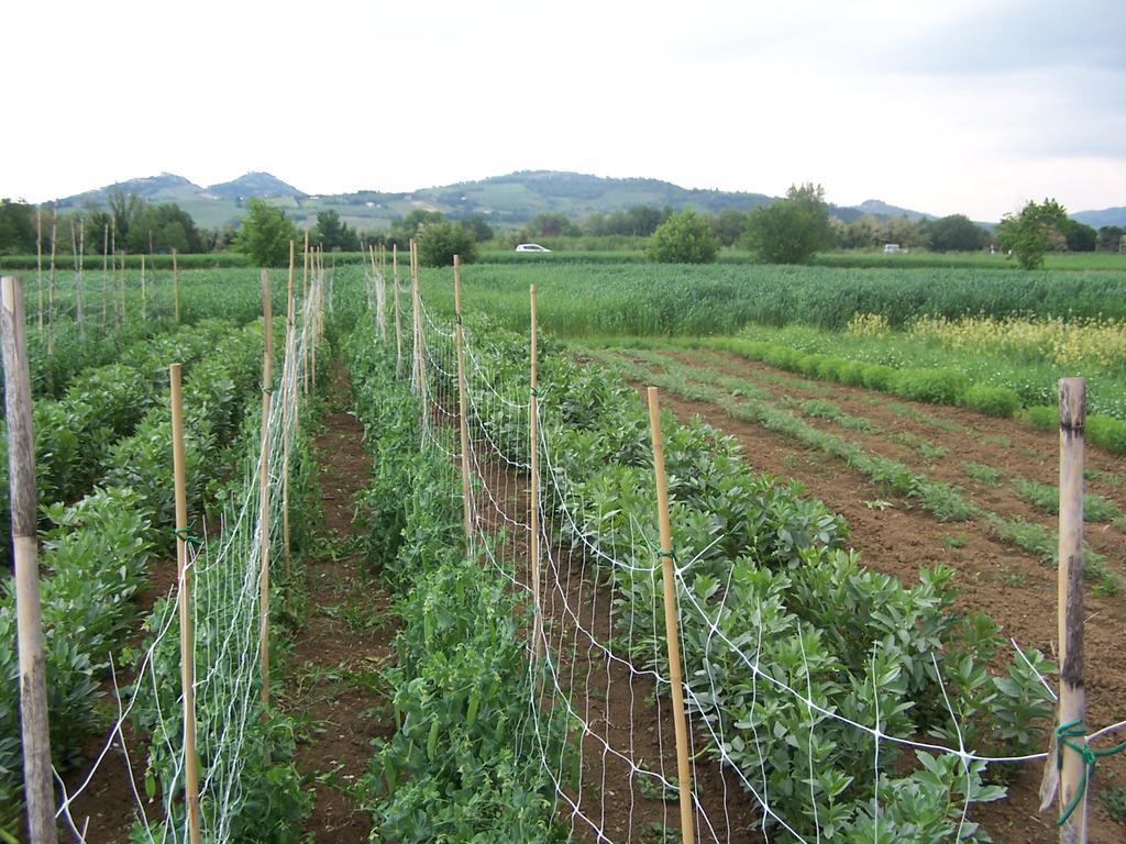 Agriturismo La Lenticchia Fratta Terme Bagian luar foto